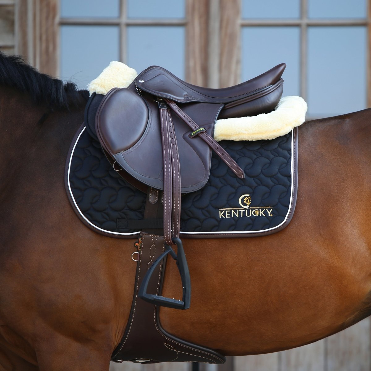 Kentucky Horsewear Springgjord m. Plade - Brun - animondo.dk
