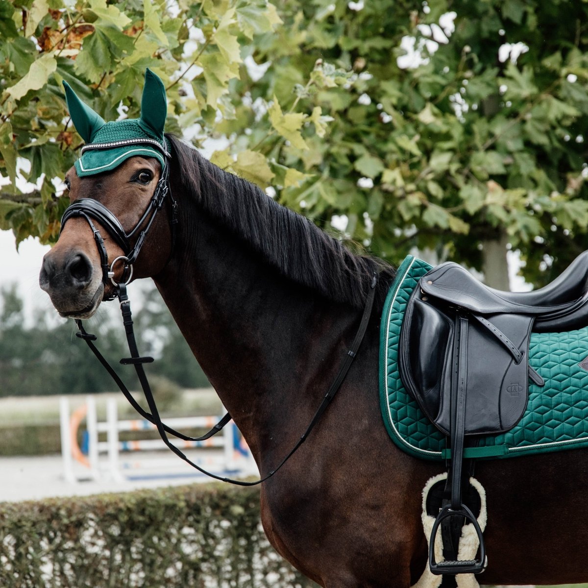Kentucky Horsewear Velvet Dressurunderlag - Dark Green - animondo.dk