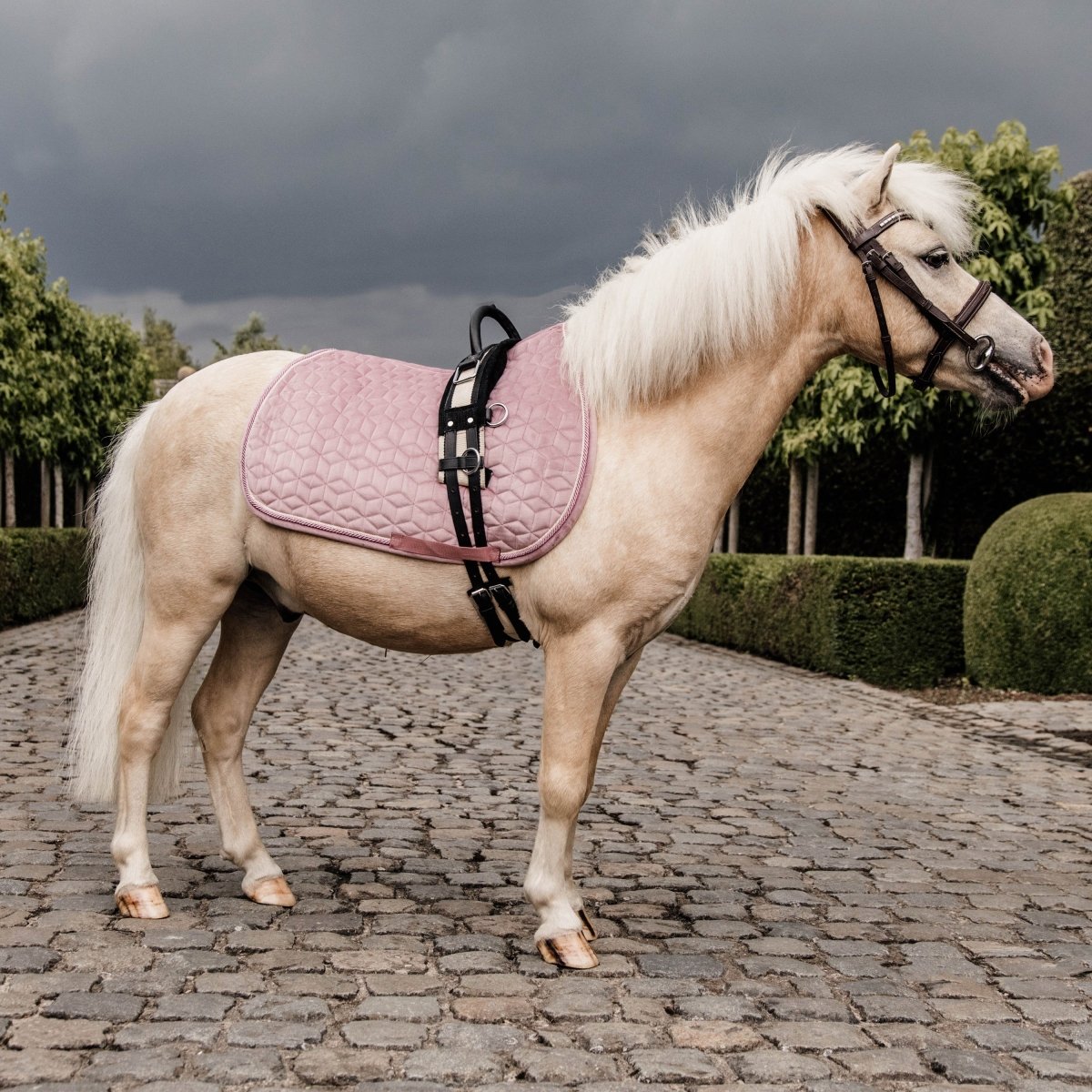 Kentucky Horsewear Velvet Pony Sadelunderlag - Old rose - animondo.dk
