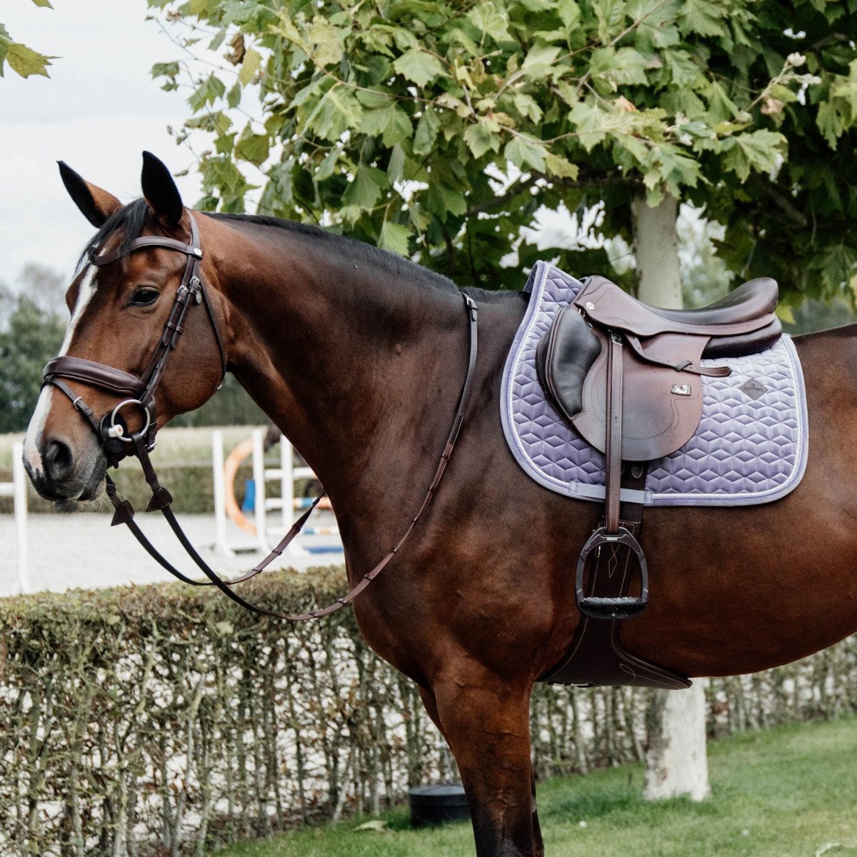 Kentucky Horsewear Velvet Springunderlag - Lilla - animondo.dk