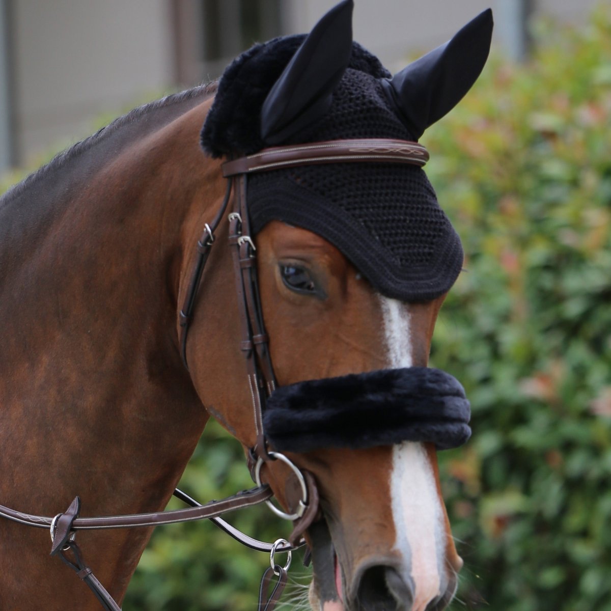 Kentucky Horsewear Wellington Hut - Sort - animondo.dk - 42608 - 01 - P