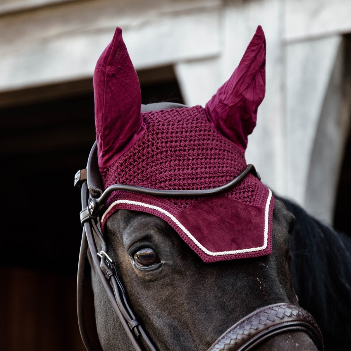 Kentucky Horsewear Wellington Velvet Hut - Bordeaux - animondo.dk