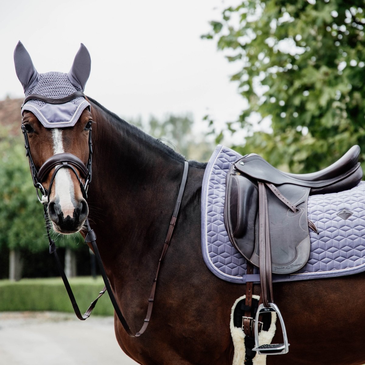 Kentucky Horsewear Wellington Velvet Hut - Lilla - animondo.dk