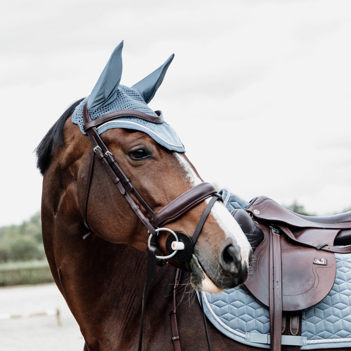 Kentucky Horsewear Wellington Velvet Hut - Lyseblå - animondo.dk