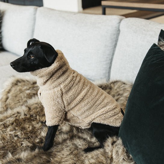 Kentucky Hundesweater Teddy Fleece - Beige - animondo.dk