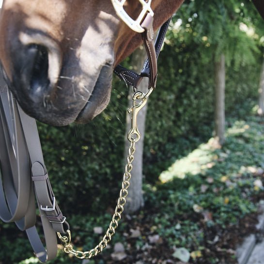 Kentucky Stallion Chain - animondo.dk