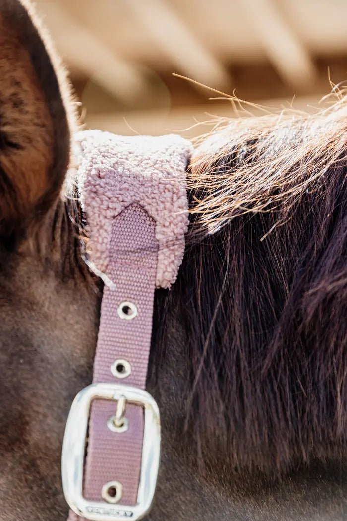 Kentucky Teddy Fleece Halter - Old Rose - animondo.dk