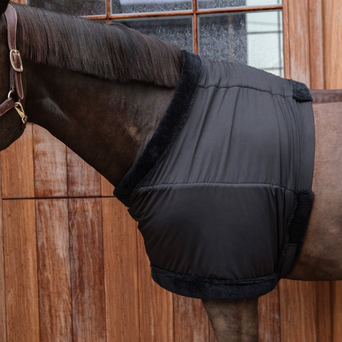 Kentucky Undertrøje - Sort - animondo.dk - 52182 - 01 - s