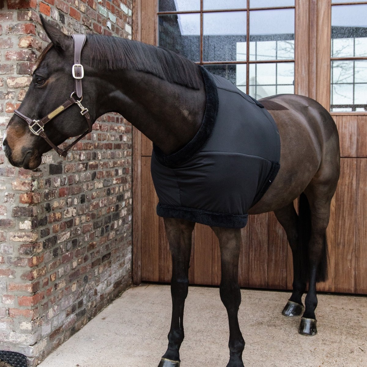 Kentucky Undertrøje - Sort - animondo.dk - 52182 - 01 - s