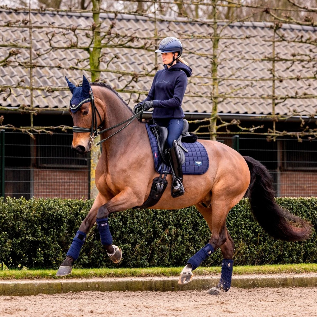 LeMieux Loire Classic Dressage Square Sadelunderlag - Navy - animondo.dk