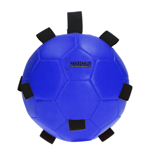 Maximus Fun Play Ball Blue - animondo.dk
