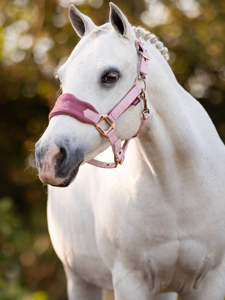 Mini Lemieux Pony Vogue Headcollar - Pink Quartz - animondo.dk