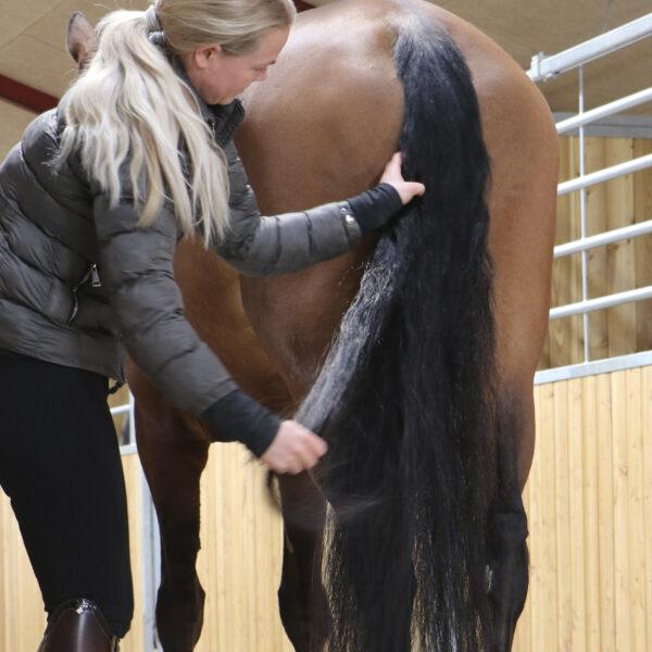Nathalie Horse Care Easy mane & Tail Gel - animondo.dk