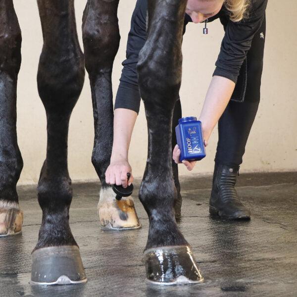 Nathalie Horse Care Hoof Oil - animondo.dk
