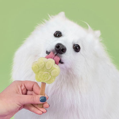 Smoofl Puppy Ice - Apple - animondo.dk