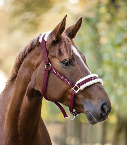 Waldhausen Elegant Grime - Burgundyred - animondo.dk