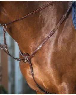 Martingale til Fortøj New English Collection fra Dy'on
