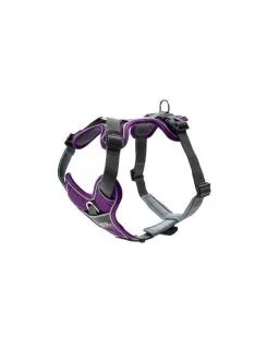 Hunter Sele - 