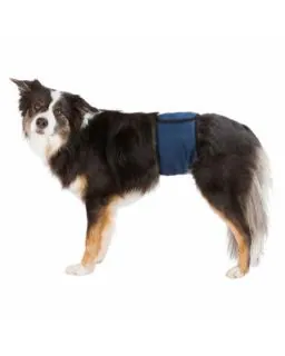 Trixie Mavebånd til hanhunde - Mørk blå