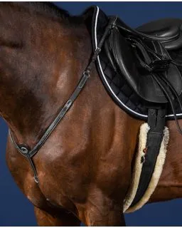 Fortøj US Jumping Collection fra Dy'on