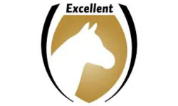 Excellent