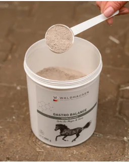 Waldhausen Gastro Balance 1KG