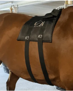 Equine LTS - 2 x justerbare elastikker