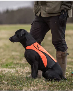 Back on Track POINT Signalvest til hund