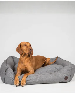 Rocky Hundekurv fra Back on Track - Grå