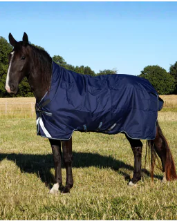 Horseware Amigo Ripstop 900D Wug Turnout 50g Limited Edition