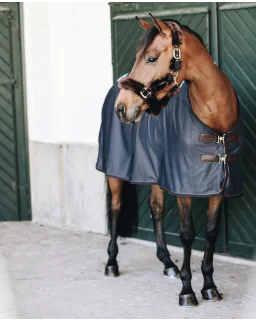 Magnetic Rug Recuptex fra Kentucky Horsewear