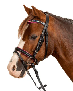 Waldhausen Pinky STAR Trense