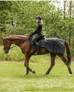 Waldhausen Exclusive Ridedækken m. pels  50 g