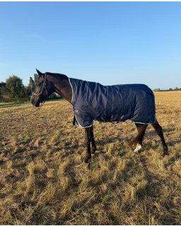 Horseware Amigo Ripstop 900D Wug Turnout 250g Limited Edition