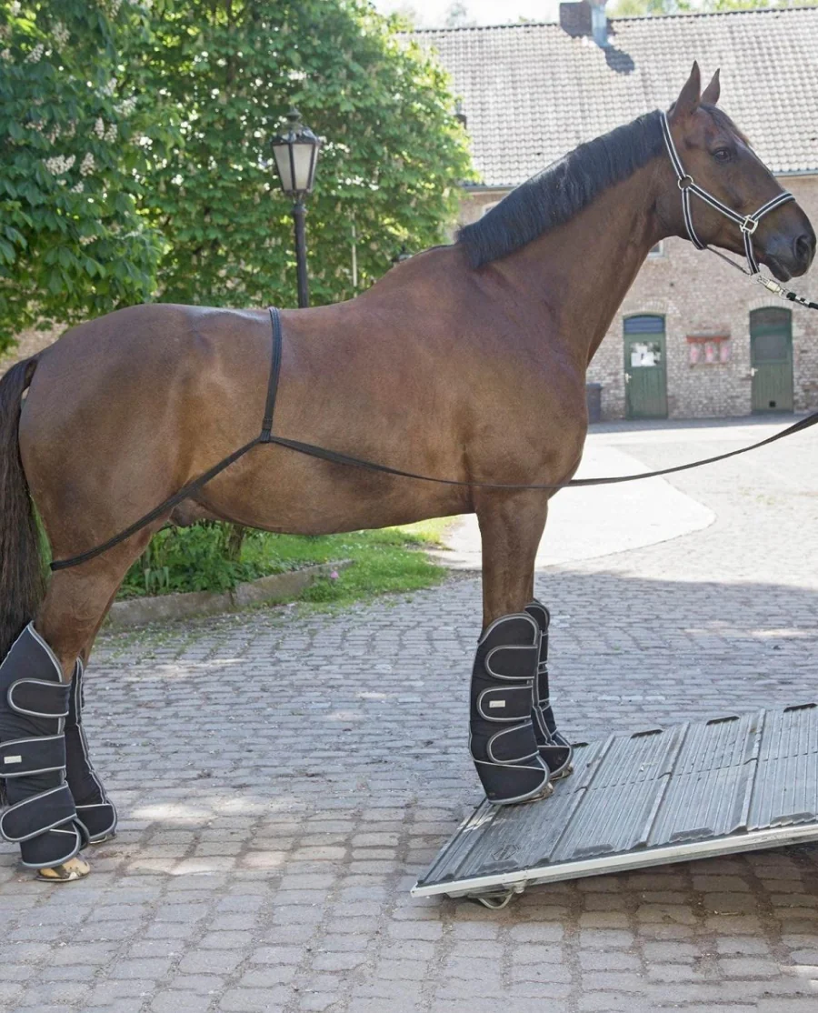 Waldhausen læssetov trailerlæsning